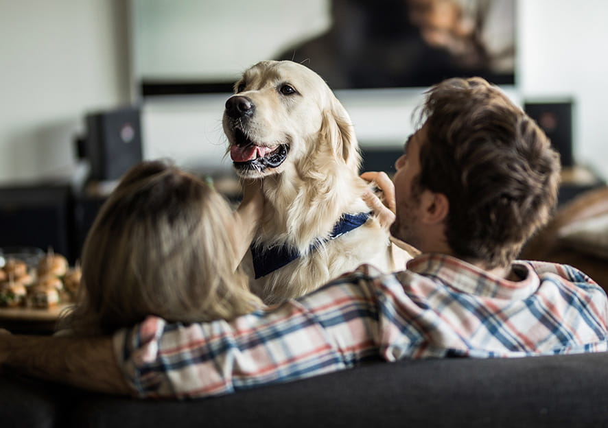 Hund mit seiner “Familie”