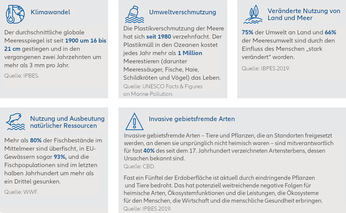 Biodiversity loss in numbers table